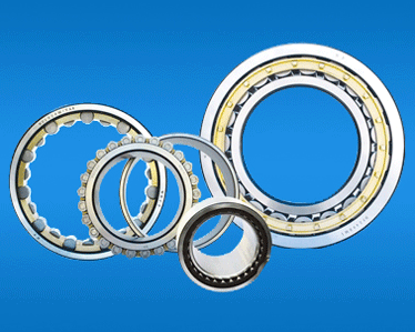 Cylindrical roller bearing